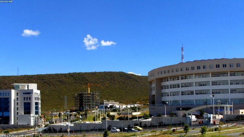 磁力猫bt搜索平台大屏与多端资源检索场景展示